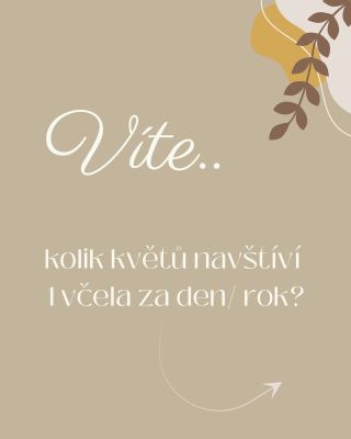 A právě díky nim vzniká něco tak výjimečného. 🌼🐝 ⁠ #vcelarstvispacek
